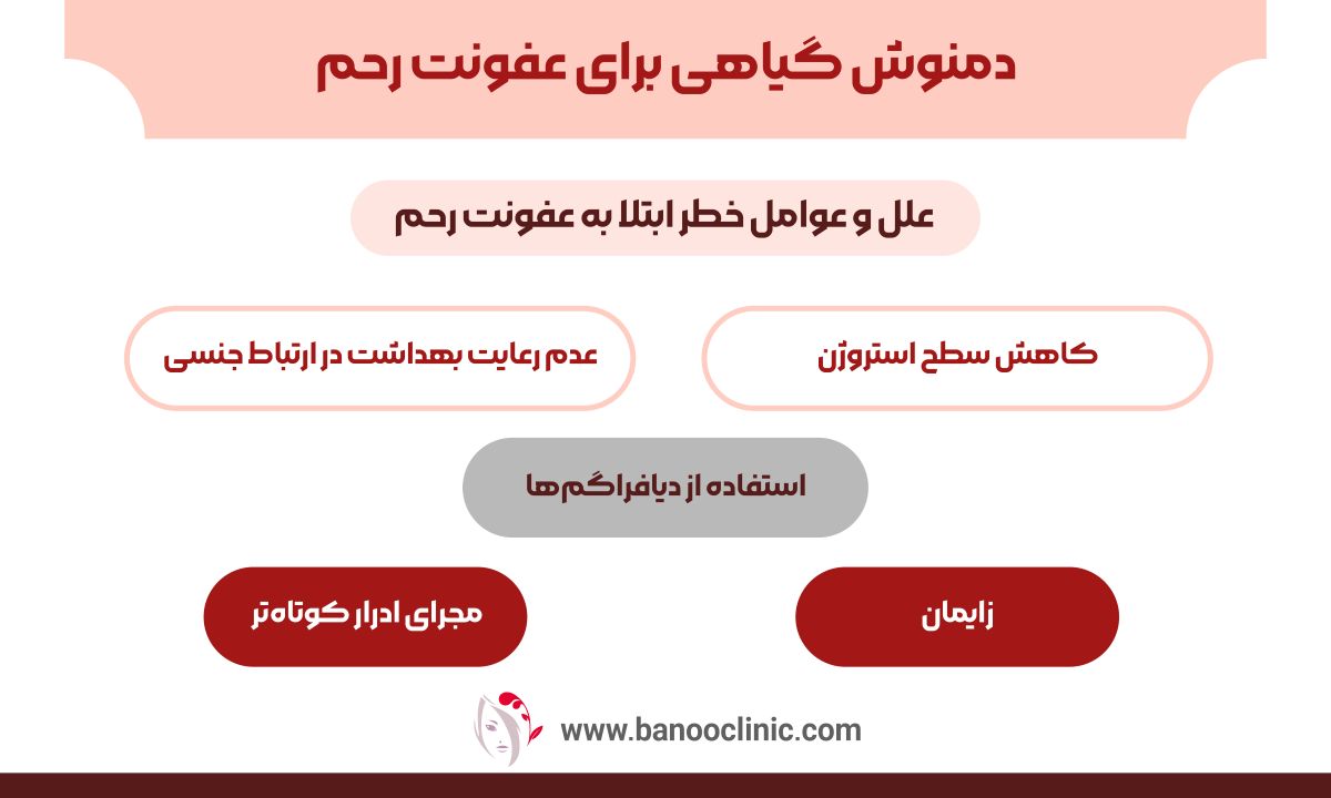 دمنوش گیاهی برای عفونت رحم